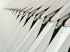 Abstract images