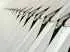 Abstract images
