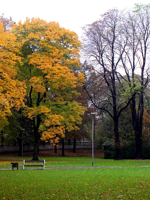 Ostravský podzim