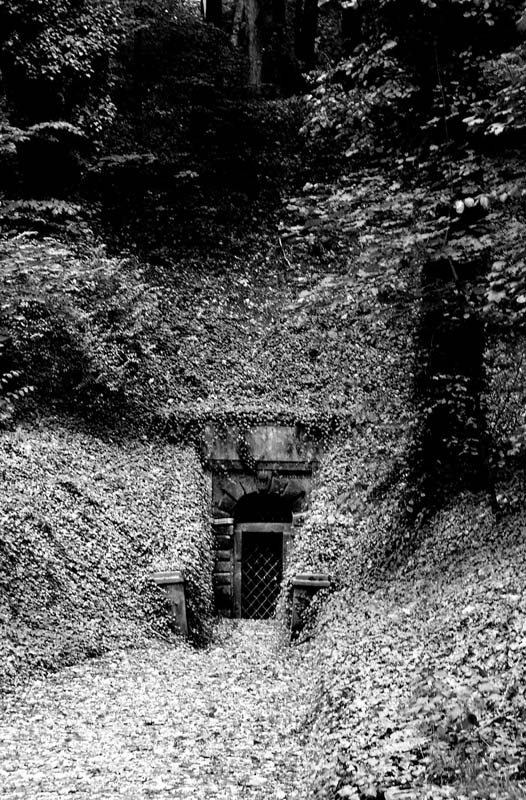 The Door